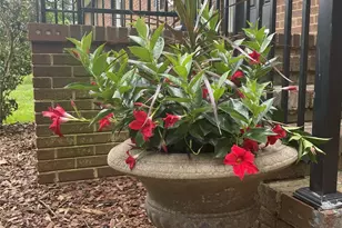 540 Carolyn Ln, Charlotte, NC 28213 - Photo 20