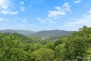 236 Holland Dr, Black Mountain, NC 28711 - Photo 2