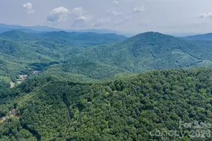 219 Echo Mountain View Rd, Fairview, NC 28730 - Photo 46