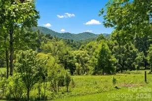 789 & 00000 Morrow Branch Rd, Leicester, NC 28748 - Photo 4
