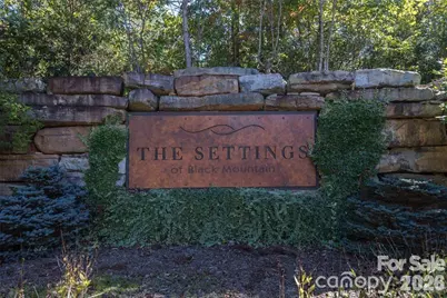 35 Cottage Settings Lane, Black Mountain, NC 28711 - Photo 8