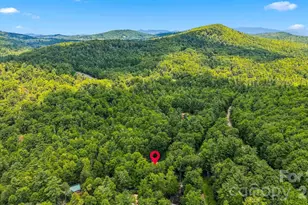 6354 Gingercake Rd, Newland, NC 28657 - Photo 40