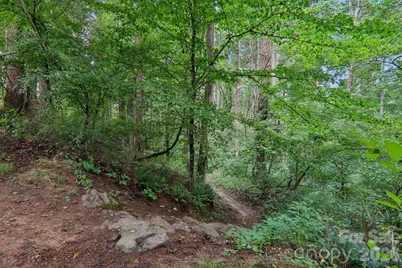 100 Vista Lake Drive #2, Candler, NC 28715 - Photo 42