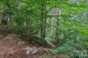 100 Vista Lake Dr, Candler, NC 28715 - Photo 42