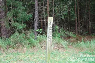 3225 Ashwood Park Dr, Belmont, NC 28012 - Photo 2