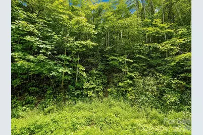 1000 Yonah Trail #7, Waynesville, NC 28785 - Photo 8