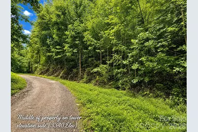 1000 Yonah Trail #7, Waynesville, NC 28785 - Photo 2