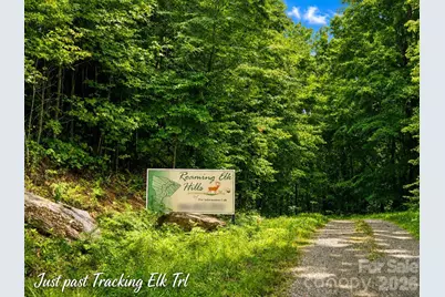 1000 Yonah Trail #7, Waynesville, NC 28785 - Photo 1