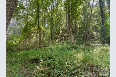1110 Probart Street #3, Brevard, NC 28712 - Photo 6
