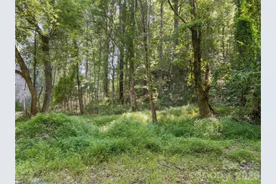 1110 Probart Street #3, Brevard, NC 28712 - Photo 4