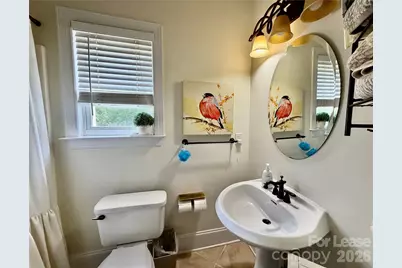 617 Lakeview Landing Road, Indian Land, SC 29707 - Photo 20