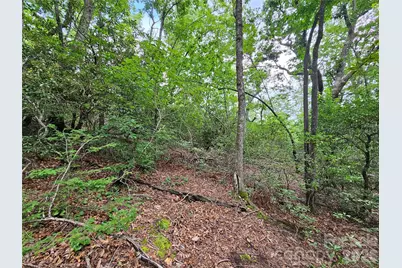98 Down To Earth Drive #98, Burnsville, NC 28714 - Photo 2