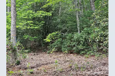 98 Down To Earth Drive #98, Burnsville, NC 28714 - Photo 6