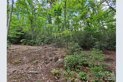 98 Down To Earth Drive #98, Burnsville, NC 28714 - Photo 22