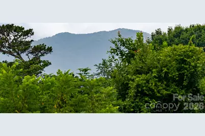 3804 Florham Place, Asheville, NC 28806 - Photo 6