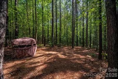 511 Carter Trail, Lincolnton, NC 28092 - Photo 32