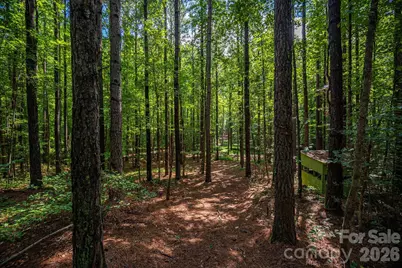 511 Carter Trail, Lincolnton, NC 28092 - Photo 36