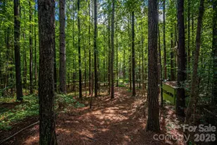 511 Carter Trail, Lincolnton, NC 28092 - Photo 36