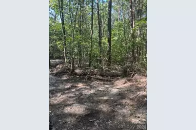 Tbd Bud Arndt Road, Maiden, NC 28650 - Photo 2