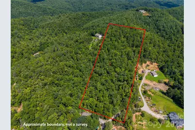 000 Miracle Valley, Pisgah Forest, NC 28768 - Photo 2