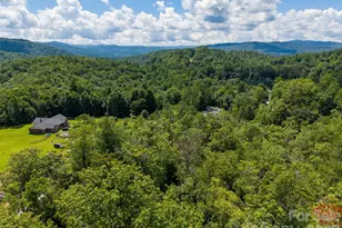 000 Miracle Valley, Pisgah Forest, NC 28768 - Photo 1