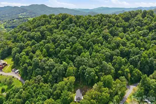 145 Banjo Ln, Waynesville, NC 28785 - Photo 44