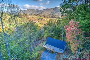145 Banjo Ln, Waynesville, NC 28785 - Photo 46