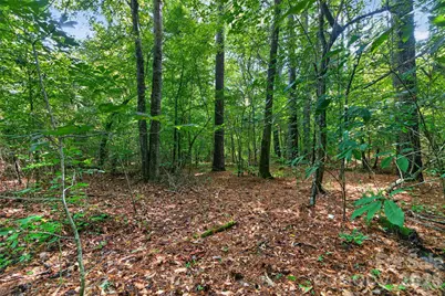 0000 Westbrook Road #5, Edgemoor, SC 29712 - Photo 24