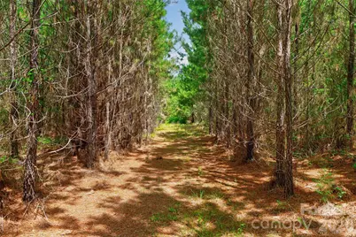 0000 Westbrook Road #5, Edgemoor, SC 29712 - Photo 46