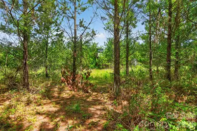 0000 Westbrook Road #5, Edgemoor, SC 29712 - Photo 48