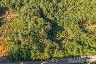 307 Rc Road, Traphill, NC 28685 - Photo 4
