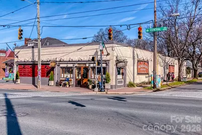 2844 Georgia Avenue, Charlotte, NC 28205 - Photo 42