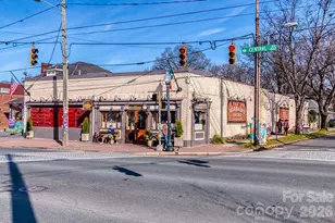 2844 Georgia Ave, Charlotte, NC 28205 - Photo 42