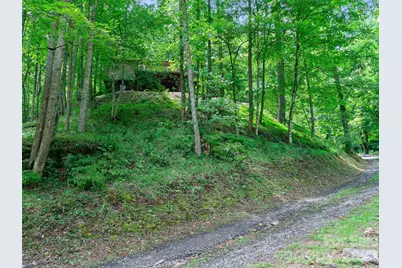 9851 Double Island Road, Green Mountain, NC 28740 - Photo 1