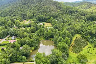 428 Hoot Owl Rd, Spruce Pine, NC 28777 - Photo 2