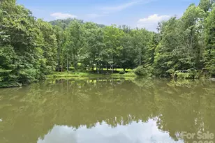 428 Hoot Owl Rd, Spruce Pine, NC 28777 - Photo 4