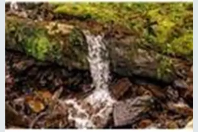 Lot 28 Rushing Falls Way, Bryson City, NC 28713 - Photo 20
