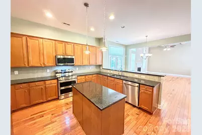9928 Daufuskie Drive, Charlotte, NC 28278 - Photo 2