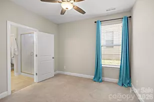 14114 Goldenrod Trace Rd, Charlotte, NC 28278 - Photo 26