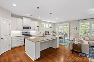 14114 Goldenrod Trace Rd, Charlotte, NC 28278 - Photo 8