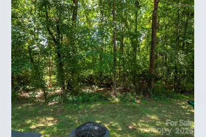 10747 Essex Hall Drive, Charlotte, NC 28277 - Photo 32