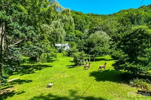 901 Rufus Robinson Rd, Sylva, NC 28779 - Photo 26