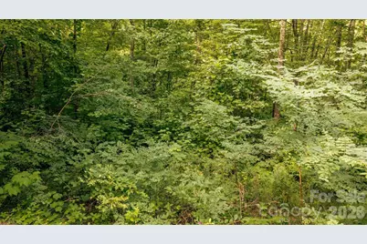 Lot36/37 Falls View Drive, Bryson City, NC 28713 - Photo 10