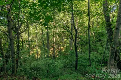 Lot36/37 Falls View Drive, Bryson City, NC 28713 - Photo 12
