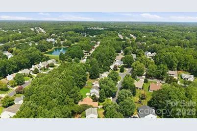 1406 Juniper Hills Lane, Indian Land, SC 29707 - Photo 42
