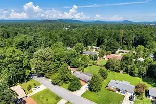 217 S Hillandale Dr, East Flat Rock, NC 28726 - Photo 48