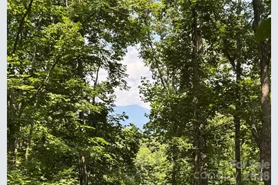 97 High Hickory Trail #2, Swannanoa, NC 28778 - Photo 10
