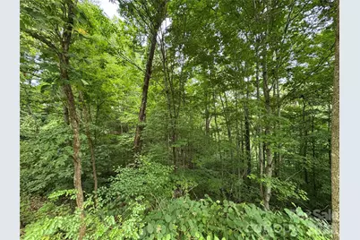 97 High Hickory Trail #2, Swannanoa, NC 28778 - Photo 14