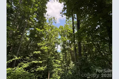 97 High Hickory Trail #2, Swannanoa, NC 28778 - Photo 8
