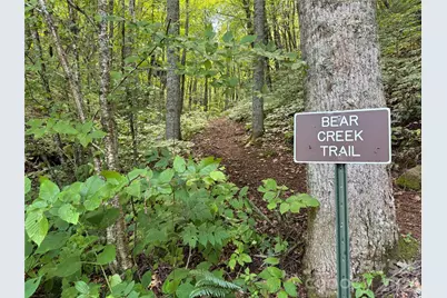 97 High Hickory Trail #2, Swannanoa, NC 28778 - Photo 20